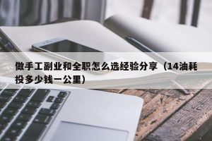 做手工副业和全职怎么选经验分享（14油耗投多少钱一公里）