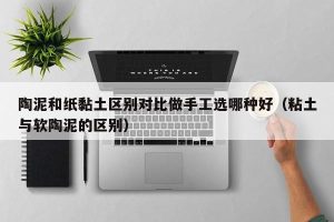 陶泥和纸黏土区别对比做手工选哪种好（粘土与软陶泥的区别）