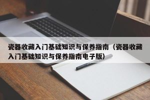 瓷器收藏入门基础知识与保养指南（瓷器收藏入门基础知识与保养指南电子版）