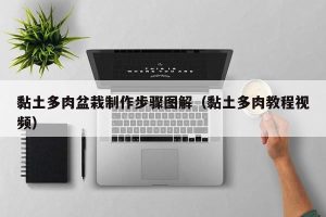 黏土多肉盆栽制作步骤图解（黏土多肉教程视频）