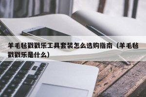 羊毛毡戳戳乐工具套装怎么选购指南（羊毛毡戳戳乐是什么）